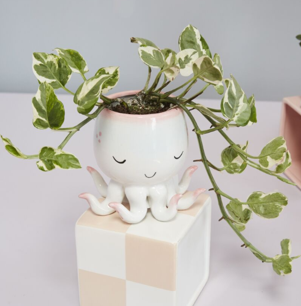 Open Arms Octopus Pot