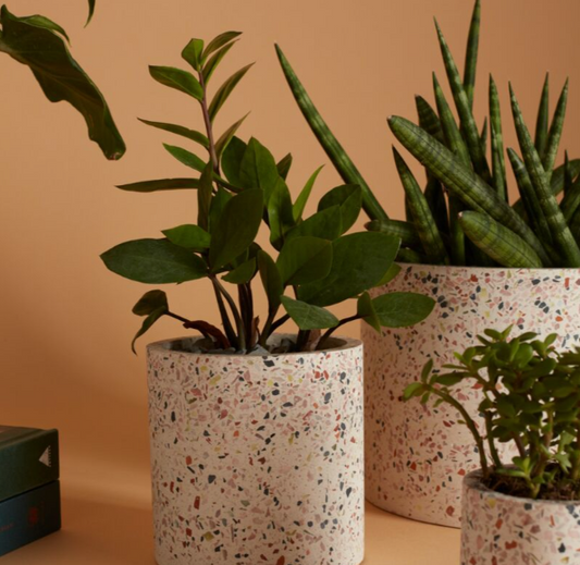 Terrazzo Pots