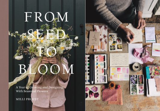 From Seed to Bloom