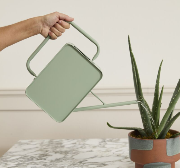 Region Watering Can