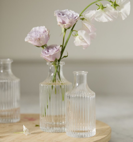 Karina Budvase