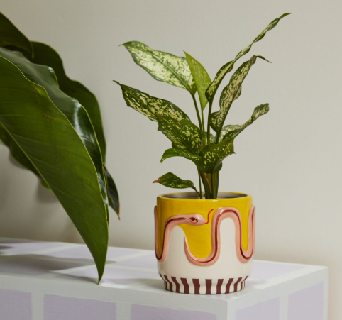 Wild Tails Pot