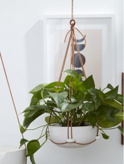 Redondo Hanging Pot