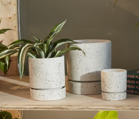 Nisha Pot with Saucer