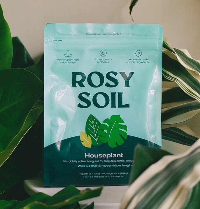 Rosy Soil