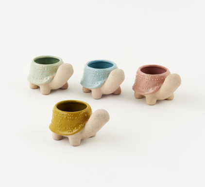 Turtle Pot - Small