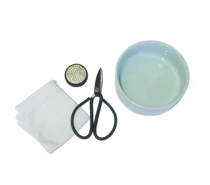 Mini Ikebana Kit