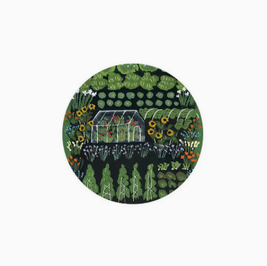 Seedlings Coasters