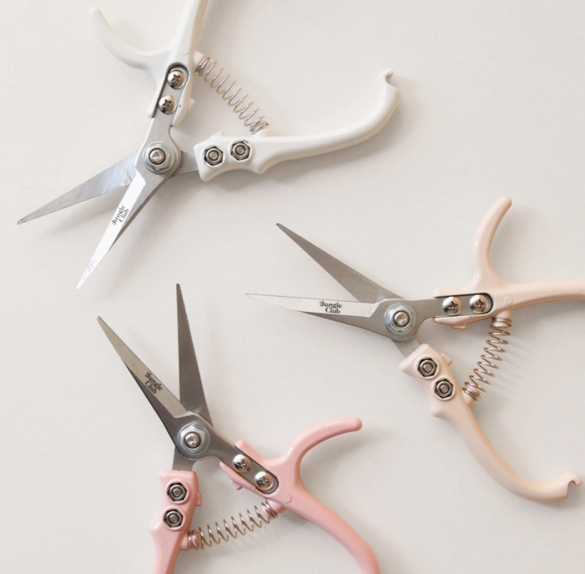 Pruning Shears