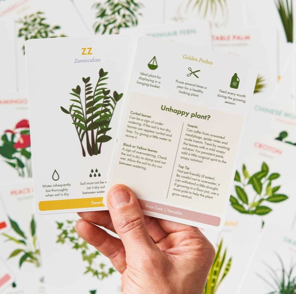 Houseplant Care Cards